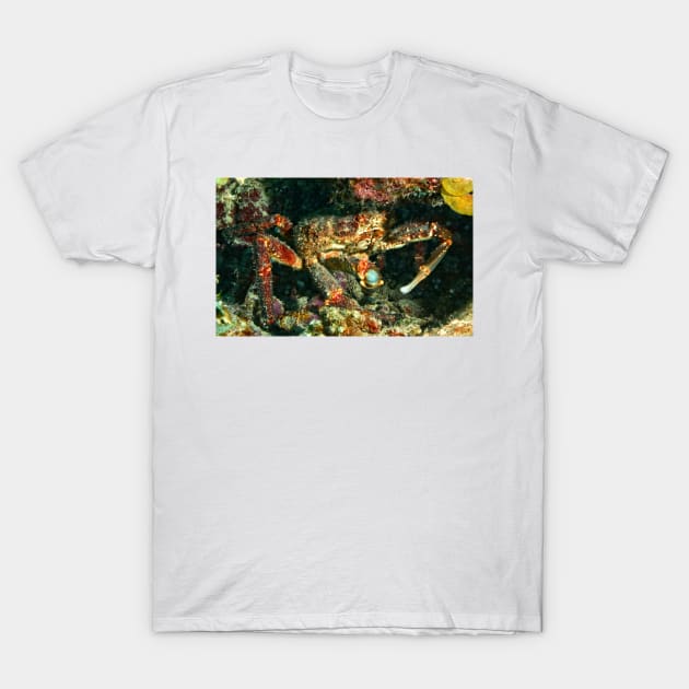 Caribbean King Crab T-Shirt by Scubagirlamy